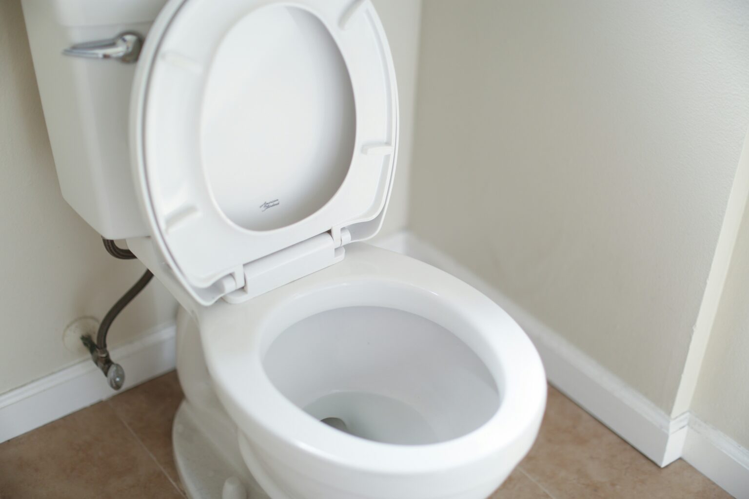 Naked and  Potty Training Method